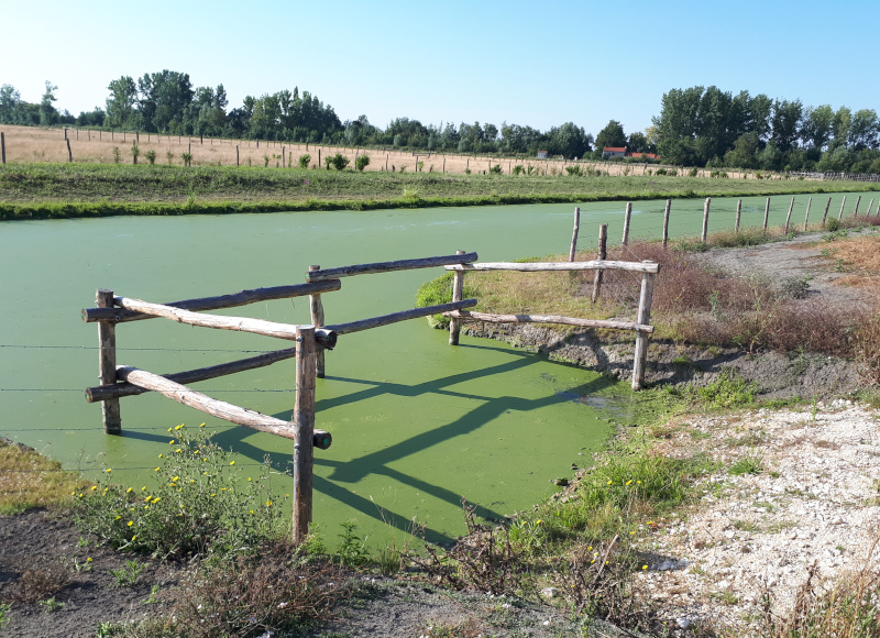 abreuvoir abreuvoir